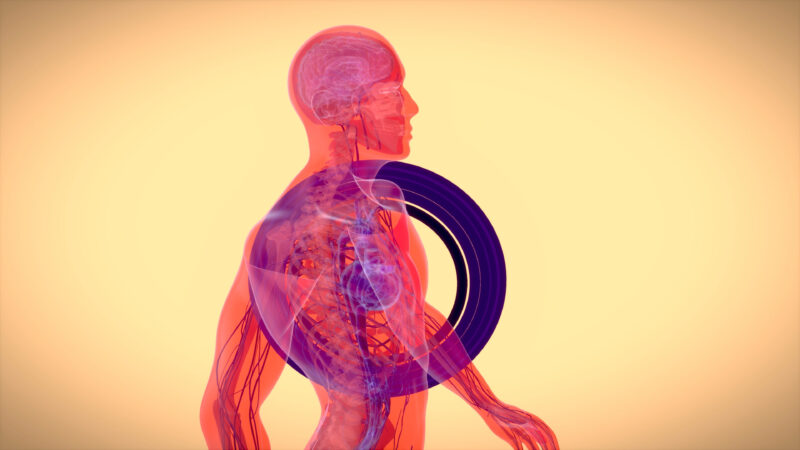 Curiosidades sobre o corpo humano que parecem mentira.